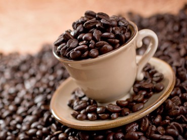 Teaserbild JAVA Kaffeebohne